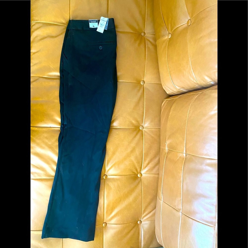 Express Columnist Slim Flare Dress Pants